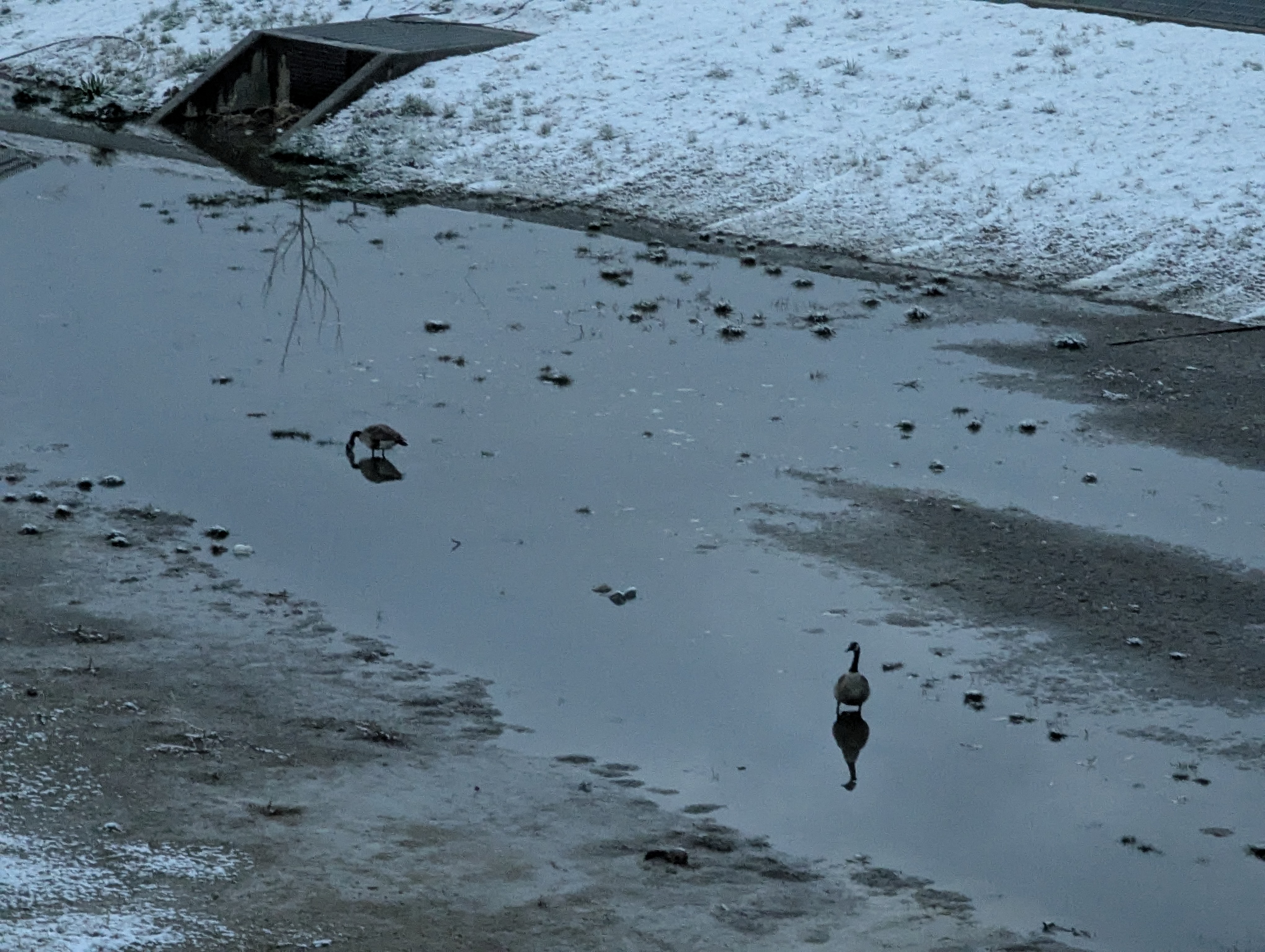 Snow, Morrison, Colorado
